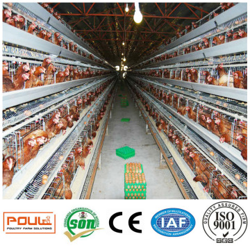 Commercial Layer Hen Chicken Battery Cage